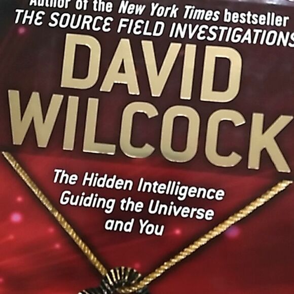 The Synchronicity Key hardcover book David Wilcox - Picture 12 of 12